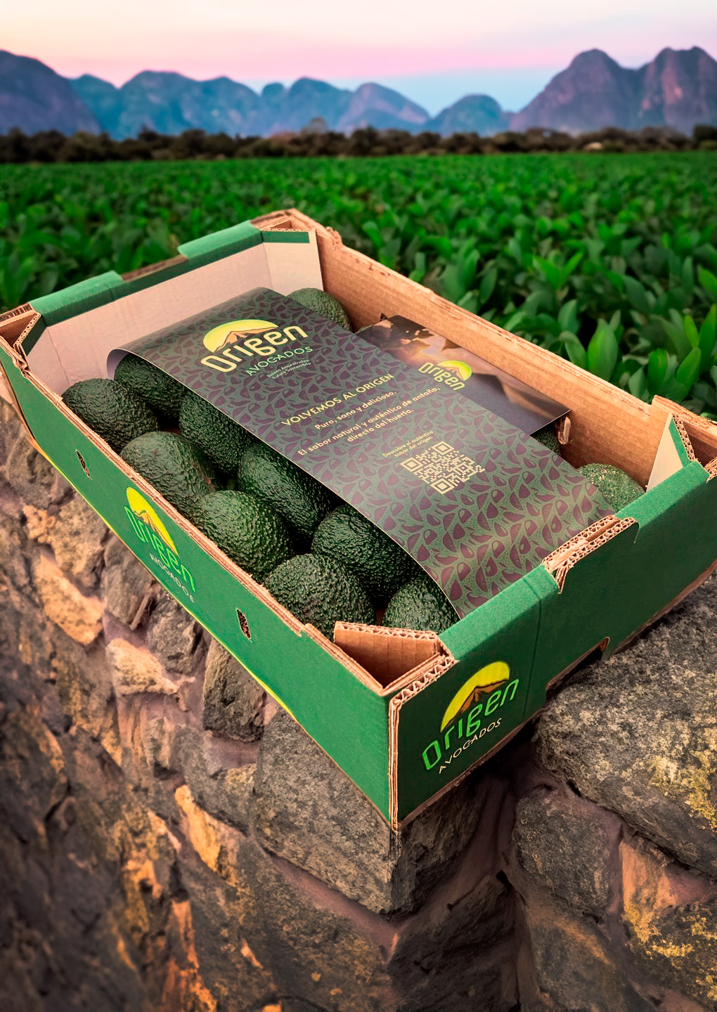 organic-farming-04